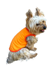 Summer Tank. Orange Cream