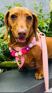 The Novalie Kiss - Step in Dog Harness