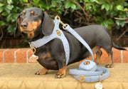 The Novalie Mist - Step in Dog Harness is