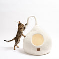 Load image into Gallery viewer, Snow White | Tail Style Cave
