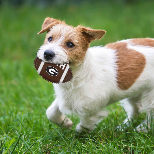Georgia Hard Nylon Football Chew Toy