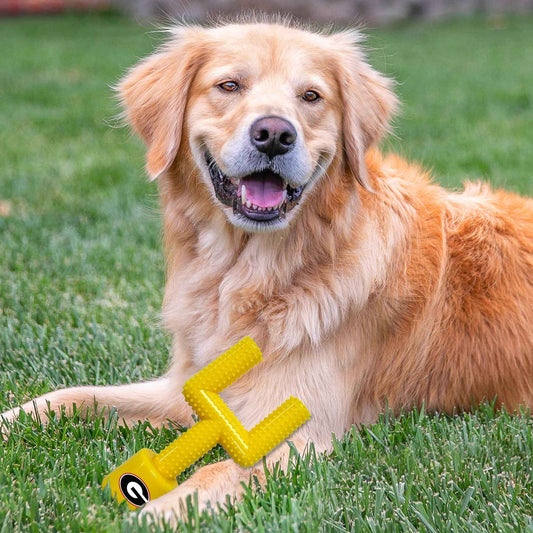 Georgia Hard Nylon Goal Post Chew Toy