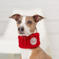 Load image into Gallery viewer, Chalet Tube Scarf - Red
