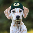 Load image into Gallery viewer, NFL Green Bay Packers Dog Hat
