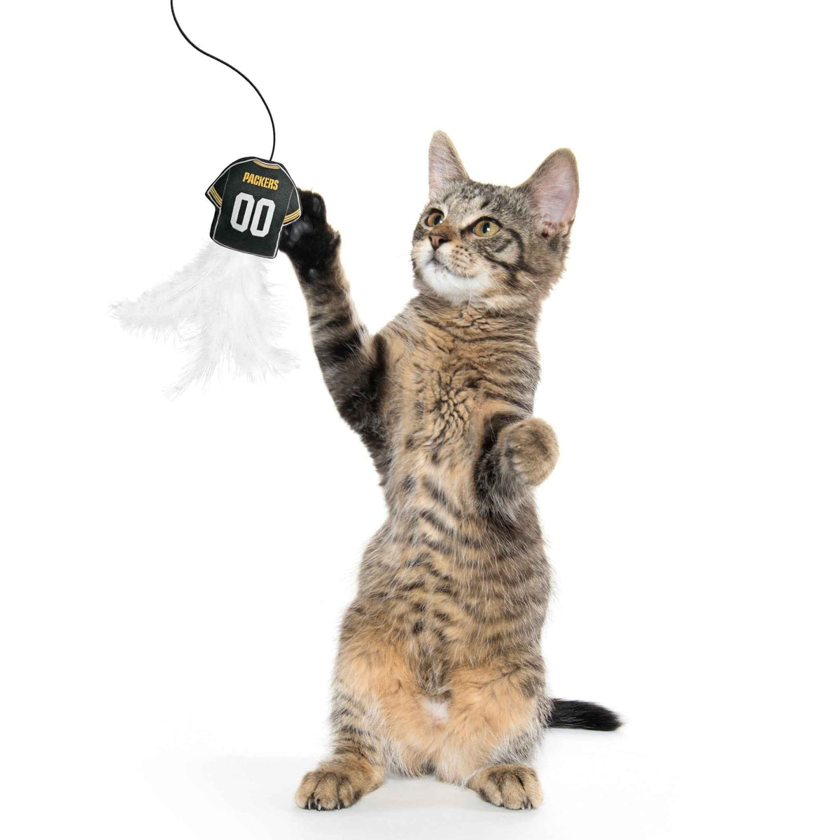 Green Bay Packers Team Jersey Wand With Catnip