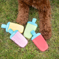 Load image into Gallery viewer, Ice Toy Display 24pcs Mix
