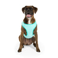 Load image into Gallery viewer, Elasto-Fit Ice Vest - Aqua
