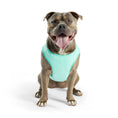 Load image into Gallery viewer, Elasto-Fit Ice Vest - Aqua

