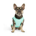 Load image into Gallery viewer, Elasto-Fit Ice Vest - Aqua
