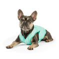 Load image into Gallery viewer, Elasto-Fit Ice Vest - Aqua

