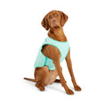 Load image into Gallery viewer, Elasto-Fit Ice Vest - Aqua
