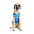Load image into Gallery viewer, Elasto-Fit Ice Vest - Blue
