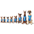 Load image into Gallery viewer, Elasto-Fit Ice Vest - Blue
