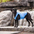 Load image into Gallery viewer, Elasto-Fit Ice Vest - Blue
