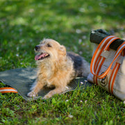 Personalized Natural Canvas Dog Travel Mat