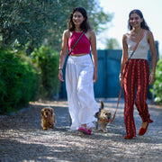 Multi Nubuck Celestial Dog Leash