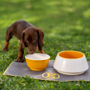 Personalized Faux Leather Dog Placemat Grey/Yellow