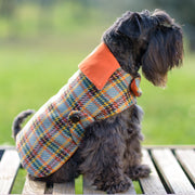 Personalized Bespoke Dog Coat/Raincoat Trend Sett