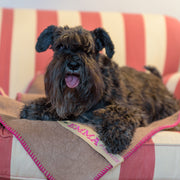 Personalized Fuchsia Stitch Dog Blanket