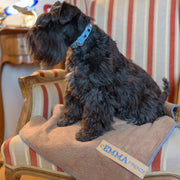 Personalized Blue Stitch Dog Blanket