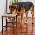 Load image into Gallery viewer, Wood & Metal Elevated Feeder
