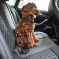 Load image into Gallery viewer, Pet Seat Belt Tether
