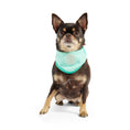 Load image into Gallery viewer, ICE BAND - Dog Cooling Bandana - Aqua
