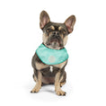 Load image into Gallery viewer, ICE BAND - Dog Cooling Bandana - Aqua
