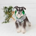 Load image into Gallery viewer, Reversible Elasto-Fit Raincoat - Green
