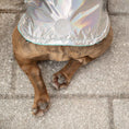 Load image into Gallery viewer, Reversible Raincoat - Neon Aqua with Iridescent
