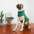 Load image into Gallery viewer, Reversible Elasto-Fit Raincoat - Green/Green
