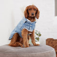 Load image into Gallery viewer, Denim Jacket - Light Wash
