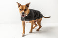 Load image into Gallery viewer, Blanket Jacket - Black
