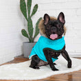 Load image into Gallery viewer, Winter Sailor Parka - Aqua
