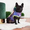 Load image into Gallery viewer, Recycled Parka - Iridescent
