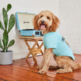 Load image into Gallery viewer, Graphic Tee - Aqua
