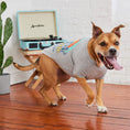 Load image into Gallery viewer, Graphic Tee - Grey
