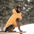 Load image into Gallery viewer, The Puff Parka - Yellow
