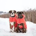 Load image into Gallery viewer, Nordic Parka
