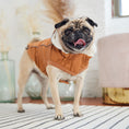 Load image into Gallery viewer, Insulated Raincoat - Hazel
