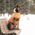 Load image into Gallery viewer, Insulated Raincoat - Hazel
