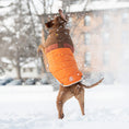 Load image into Gallery viewer, Camplife Puffer - Orange
