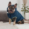 Load image into Gallery viewer, Arctic Parka - Teal
