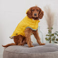Load image into Gallery viewer, Arctic Parka - Yellow
