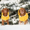 Load image into Gallery viewer, Arctic Parka - Yellow
