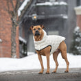 Load image into Gallery viewer, Cloud Parka
