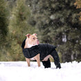 Load image into Gallery viewer, Odysey Snowsuit - Southlake Paws
