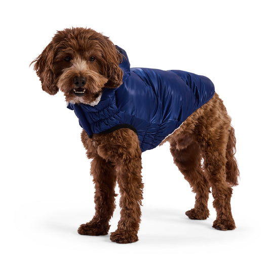 Lunar Glow Parka - Southlake Paws