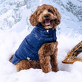 Load image into Gallery viewer, Lunar Glow Parka - Southlake Paws
