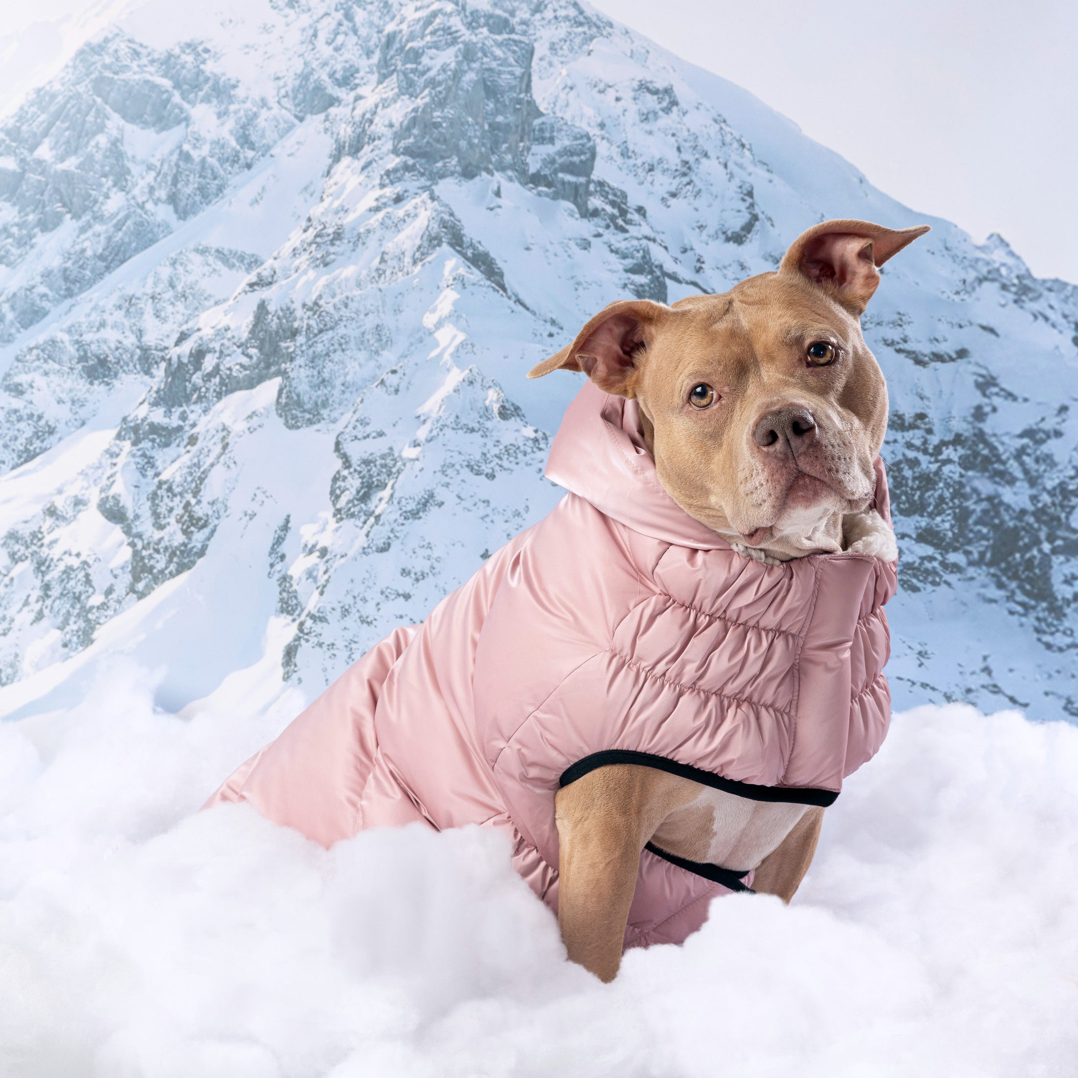 Lunar Glow Parka - Southlake Paws